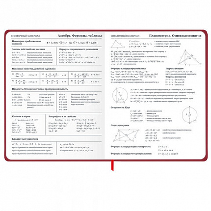 Дневник 1-11 класс 48 л., твердый, BRAUBERG, матовая ламинация, резинка, закладка-ляссе, с подсказом, "Мото", 107236
