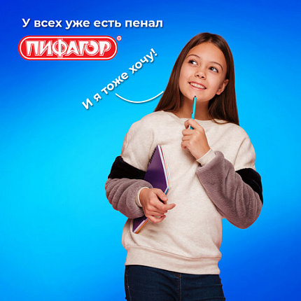 Пенал ПИФАГОР, 3 отделения, ламинированный картон, 19х11 см, "Bears", 273487