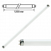 Лампа люминесцентная PHILIPS TL-D 36W/33-640, 36 Вт, цоколь G13, в виде трубки 120 см