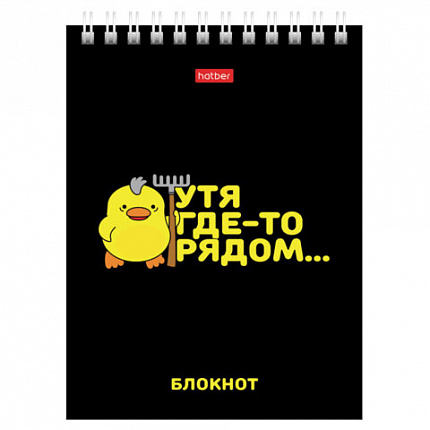 Блокнот МАЛЫЙ ФОРМАТ А6, 40 л., гребень, картон, клетка, HATBER, "УтяКря", 079618, 40Б6В1гр