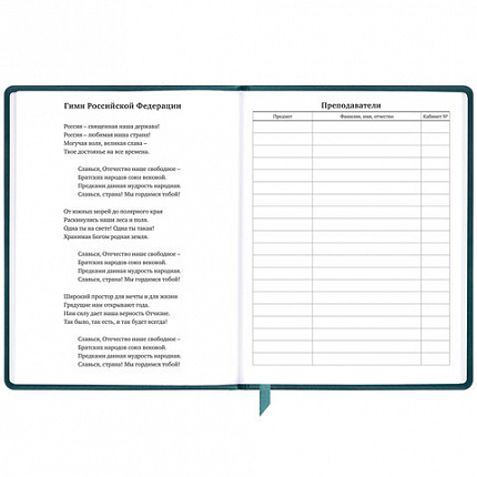 Дневник 1-11 класс 48 л., кожзам (твердая), печать, резинка, конверт, BRAUBERG, "Bright Lion", 106577