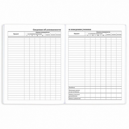 Дневник 1-11 класс 40 л., на скобе, ПИФАГОР, обложка картон, "Футбол", 107136