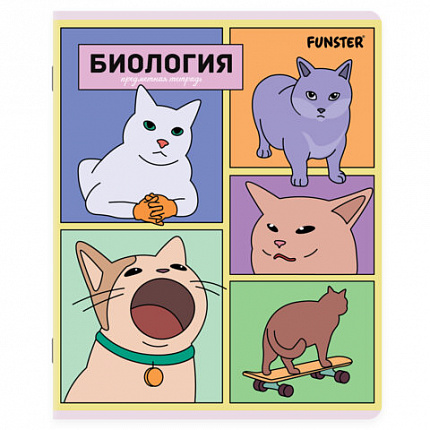 Тетради предметные, КОМПЛЕКТ 12 ПРЕДМЕТОВ, 48л, TWIN лак, FUNSTER, МЕМНЫЕ КОТЫ, 405604