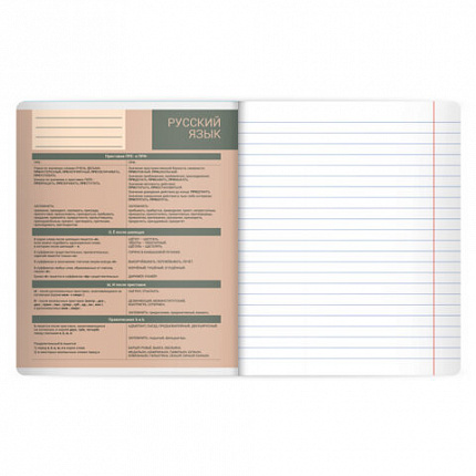Тетрадь предметная MonoPastel 48л, пластиковая обложка, РУССКИЙ ЯЗЫК, линия, подсказ, BRAUBERG, 405510
