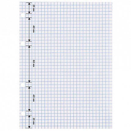 Сменный блок для тетради на кольцах, А5, 120 л., BRAUBERG, "Белый", 403260