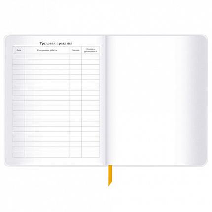 Дневник 1-11 класс 48 л., кожзам (гибкая), печать, фольга, BRAUBERG, "Mountains", 106223