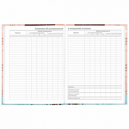 Дневник 5-11 класс 48 л., твердый, BRAUBERG, глянцевая ламинация, с подсказом, "Summer girl", 106882