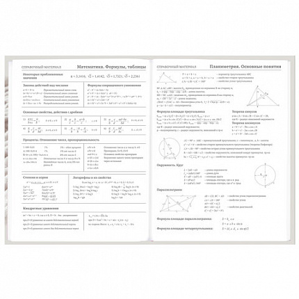 Дневник 5-11 класс 48 л., твердый, BRAUBERG, глянцевая ламинация, с подсказом, "Котик", 107188