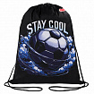 Мешок для обуви ПИФАГОР, 1 отделение, 42х34 см, "Stay cool", 274632