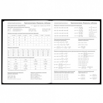 Дневник 5-11 класс 48 л., твердый, BRAUBERG, матовая ламинация, с подсказом, "Штош", 107190