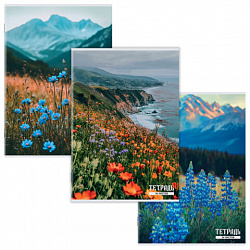 Тетрадь А4 96 л. STAFF College скоба, клетка, офсет №2 ЭКОНОМ, обложка картон, ПРИРОДА, 405621