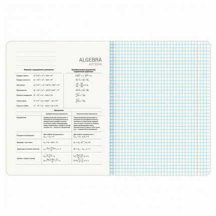 Тетради предметные, КОМПЛЕКТ 13 ПРЕДМЕТОВ, 48 л., матовая ламинация, BRAUBERG "MONOCOLOR", 405175