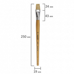 Кисть ПИФАГОР, ЩЕТИНА, плоская, № 20, деревянная лакированная ручка, пакет с подвесом, 200879