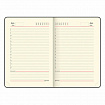 Ручка шариковая PARKER "Jotter Plastic CT", корпус черный, ежедневник А5 черный, золотой срез, пакет, 880894