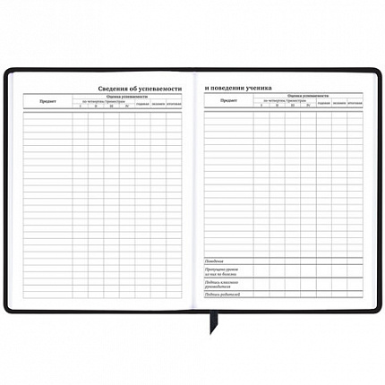 Дневник 1-11 класс 48 л., кожзам (твердая с поролоном), фольга, BRAUBERG HOLIDAY, "Free Spirit", 106568