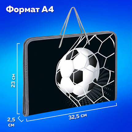 Папка для труда на молнии с ручками ПИФАГОР А4, 1 отделение, пластик, органайзер, "Ball kick", 272229