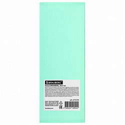 Пенал пластиковый BRAUBERG, 1 отделение, на кнопке, 20x7 см, ассорти, "Pastel", 273770