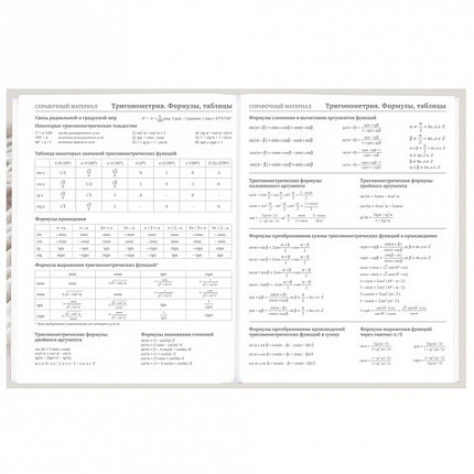 Дневник 5-11 класс 48 л., твердый, BRAUBERG, глянцевая ламинация, с подсказом, "Котик", 107188