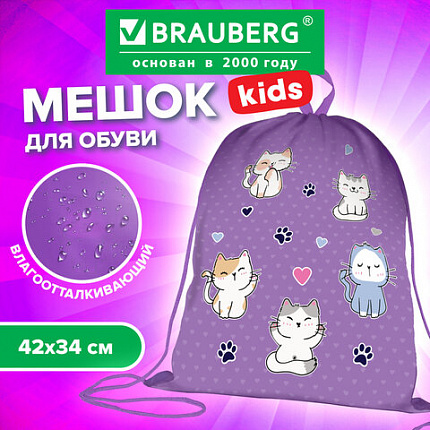 Мешок для обуви BRAUBERG KIDS, с петлей, 42х34 см, "Игривые котята", 272413
