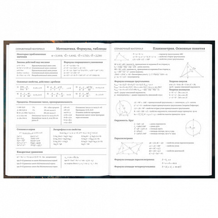 Дневник 5-11 класс 48 л., гибкая обложка, BRAUBERG, глянцевая ламинация, с подсказом, "Cat", 107181