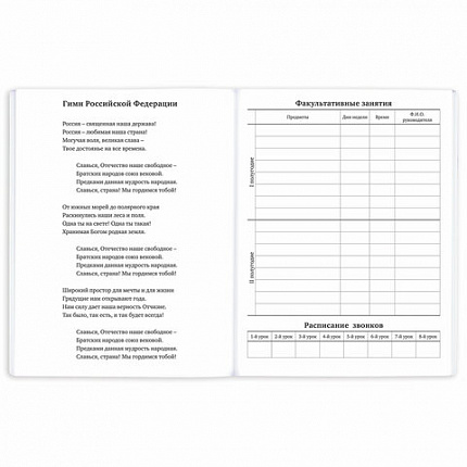 Дневник 1-11 класс 40 л., на скобе, ПИФАГОР, обложка картон, "Футбол", 107136