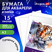 Бумага для акварели БОЛЬШАЯ А3 в папке, 15 листов, 300 г/м2, среднее зерно, BRAUBERG ART CLASSIC, 116354