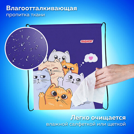 Мешок для обуви ПИФАГОР, 1 отделение, 42х34 см, "Кошачий привет", 272382