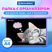 Папка для труда на молнии BRAUBERG А4, 2 отделения, органайзер, "Спящий котенок", 273401