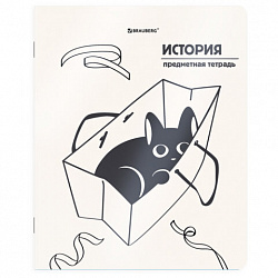 Тетрадь предметная КОТ-НЕПОСЕДА 48 л., пластиковая обложка, ИСТОРИЯ, клетка, подсказ, BRAUBERG, 405534