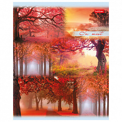 Тетрадь А5, 80 л., HATBER, скоба, линия, обложка картон, "ПРОБУЖДЕНИЕ ПРИРОДЫ" (микс), 046931, 80Т5В2