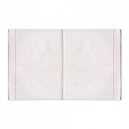 Тетрадь бумвинил А5, 48 л., скоба, офсет №2 ЭКОНОМ, клетка, с полями, STAFF, СИНИЙ, 402018