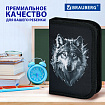 Пенал BRAUBERG, 1 отделение, полиэстер, 21х14 см, "Серый волк", 273520