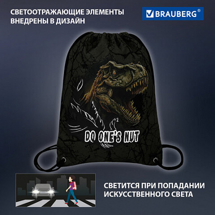 Мешок для обуви BRAUBERG PREMIUM, карман, подкладка, светоотражайка, 43х33 см, Dino attack, 272424