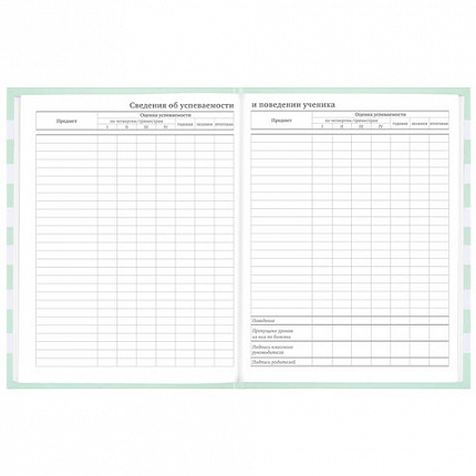 Дневник 1-11 класс 48 л., твердый, BRAUBERG, блестки, с подсказом, "Котик", 106606