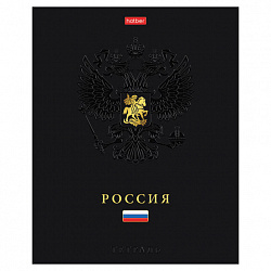 Тетрадь А5 48 л., HATBER, скоба, клетка, матовая ламинация, 3D-фольга, 3D-лак, Россия (микс), 093210, 48Т5лофлВ1