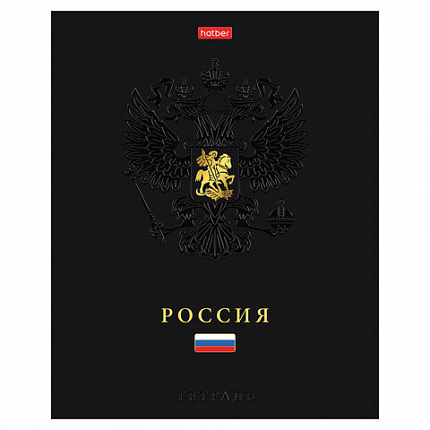Тетрадь А5 48 л., HATBER, скоба, клетка, матовая ламинация, 3D-фольга, 3D-лак, Россия (микс), 093210, 48Т5лофлВ1
