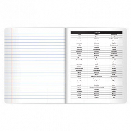 Тетрадь предметная BLACK MODE 48л, пластиковая обложка, РУССКИЙ ЯЗЫК, линия, подсказ, BRAUBERG, 405523