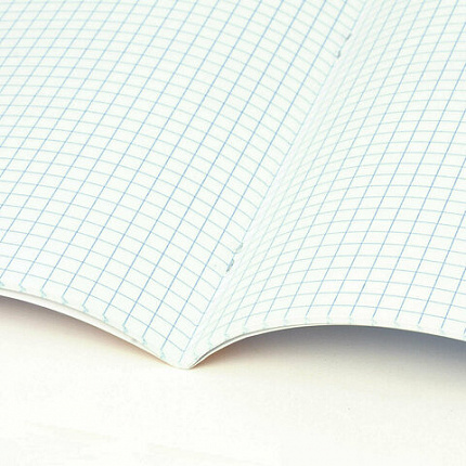 РЕЗЕРВ Тетрадь А5 48л. BRAUBERG МИЛЫЕ КОТЫ скоба, клетка, выборочный лак, 405193