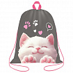 Мешок для обуви BRAUBERG KIDS, с петлей, 42х34 см, "Purr cat", 274640
