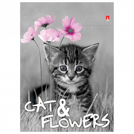 Блокнот А6, 40 л., гребень, ламинированный картон, клетка, Альт, "Котята", (5 видов), 3-40-028