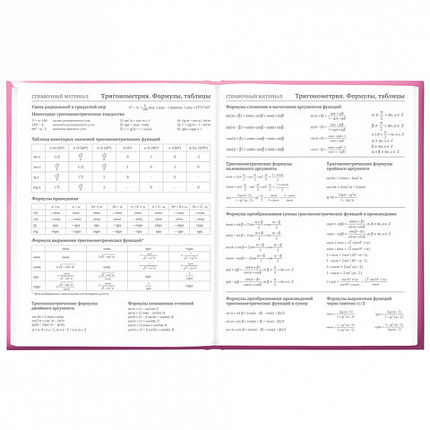 Дневник 5-11 класс 48 л., твердый, BRAUBERG, выборочный лак, с подсказом, "Brings Joy", 107194