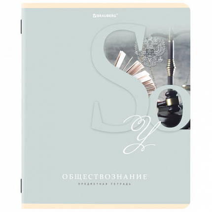 Тетради предметные, КОМПЛЕКТ 12 ПРЕДМЕТОВ, 48 листов, обложка картон, BRAUBERG, "ПАСТЕЛЬНАЯ", 404026
