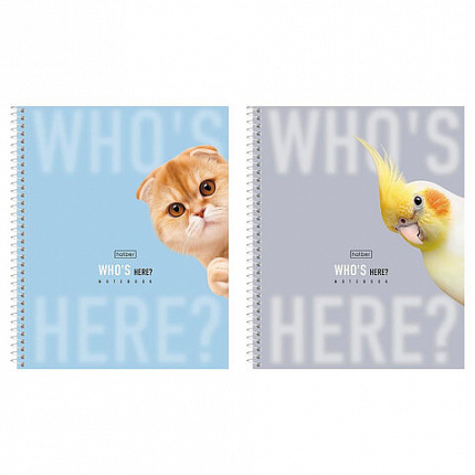 Тетрадь А5 96л. HATBER спираль, линия, матовая ламинация, Кто здесь? (микс в спайке),, 96Т5лВ2сп