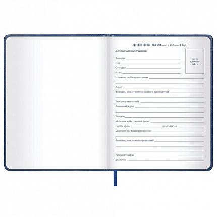 Дневник 1-11 класс 48 л., кожзам (твердая с поролоном), нашивка, BRAUBERG IGUANA, синий, 107226