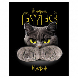 Тетрадь А5 48 л., HATBER скоба, клетка, матовая ламинация, 3D-лак, "Волшебные глаза" (микс), 088313, 48Т5лолВ1