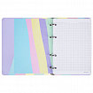 Тетрадь на кольцах А5 160х212 мм, 120 л., картон, матовая ламинация, клетка, BRAUBERG, кросс-серия PASTEL, 405197
