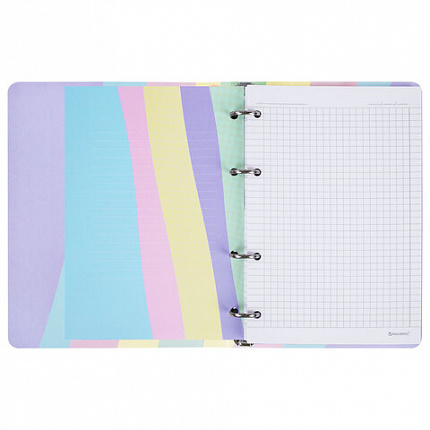 Тетрадь на кольцах А5 160х212 мм, 120 л., картон, матовая ламинация, клетка, BRAUBERG, кросс-серия PASTEL, 405197