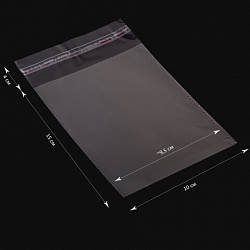 Пакет БОПП с клеевым клапаном, КОМПЛЕКТ 100 шт., 10х15+4 см, 25 мкм, с усиленным швом, 608598