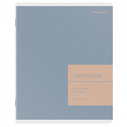Тетрадь предметная MonoPastel 48 л., пластиковая обложка, ЛИТЕРАТУРА, линия, подсказ, BRAUBERG, 405509