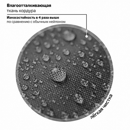 Ранец BRAUBERG PREMIUM, 2 отделения, с брелком, "Быстрая машина", 38х29х16 см, 270600